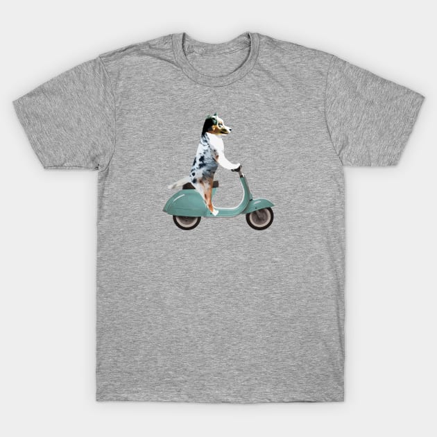 Australian Shepherd on a Scooter Funny T-Shirt by sketchpets